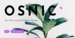 Osnic-Adsense-WordPress-Theme-Nulled